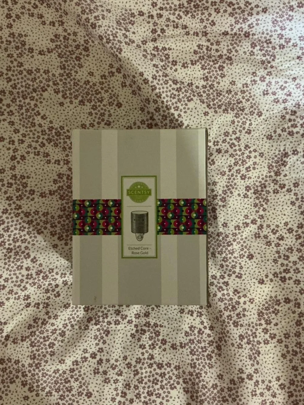 Scentsy replacement plug